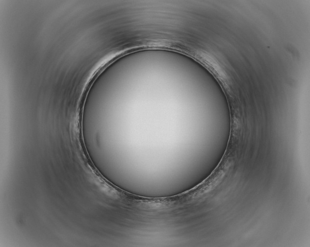 X0000113360948200909291027