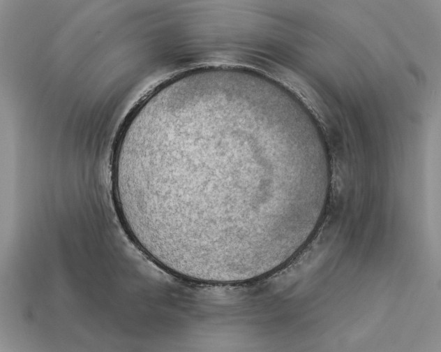 X0000113360950200909291027