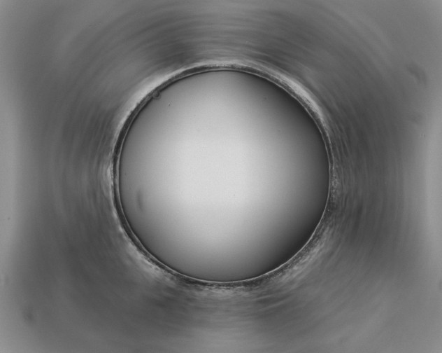 X0000113360951200909291027