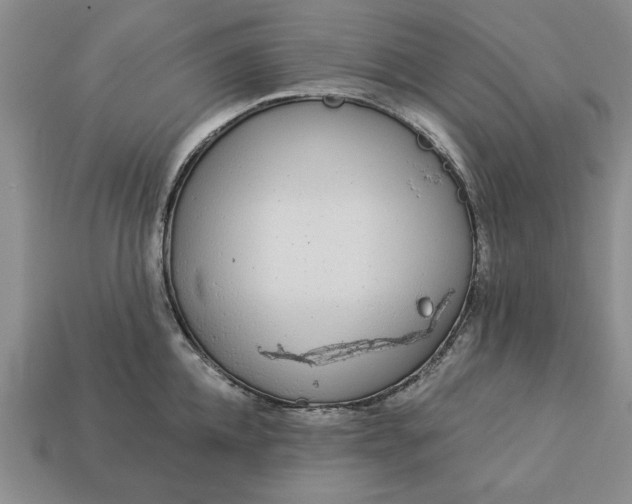 X0000113360952200909291027