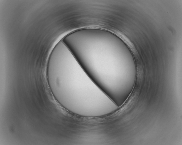 X0000113360956200909291027