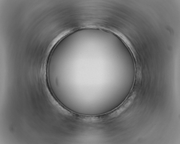 X0000113360957200909291027