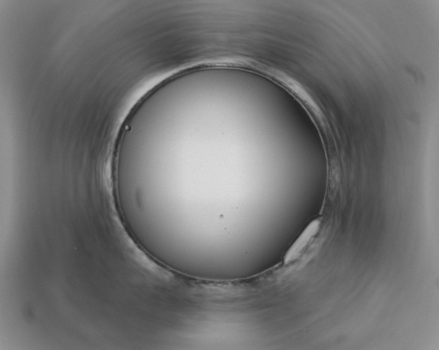 X0000113360959200909291027