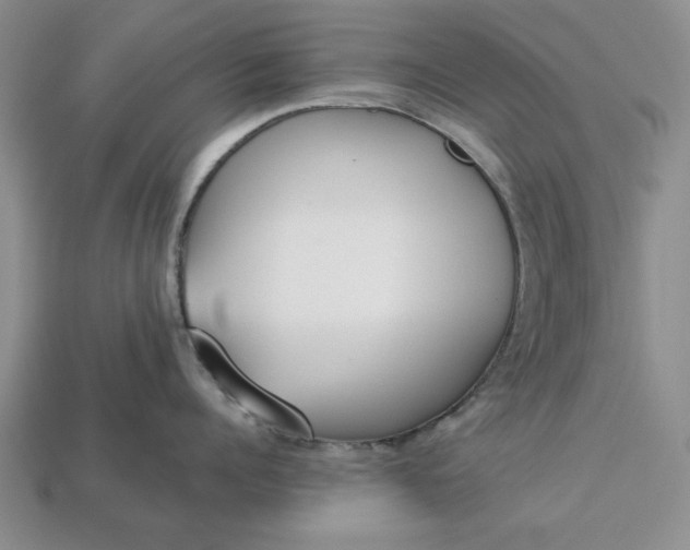 X0000113360960200909291027