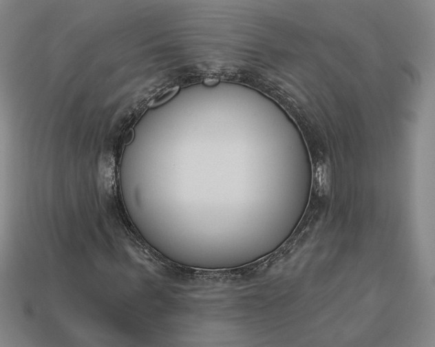 X0000113360963200909291027