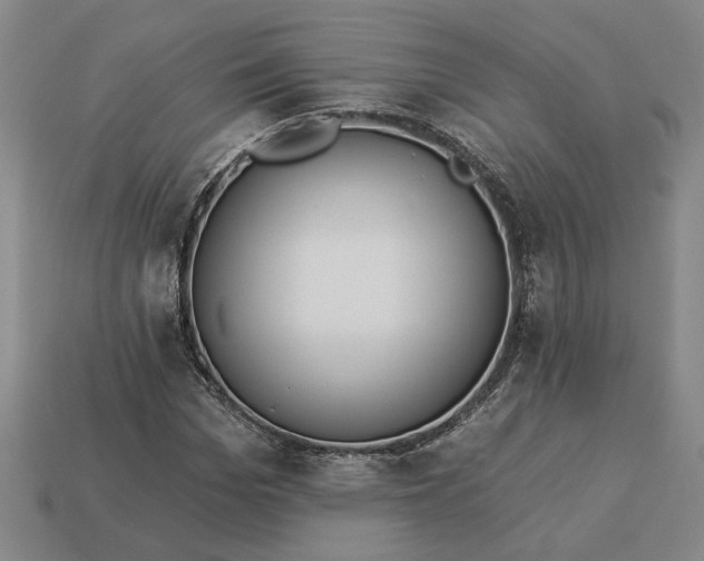 X0000113360969200909291027