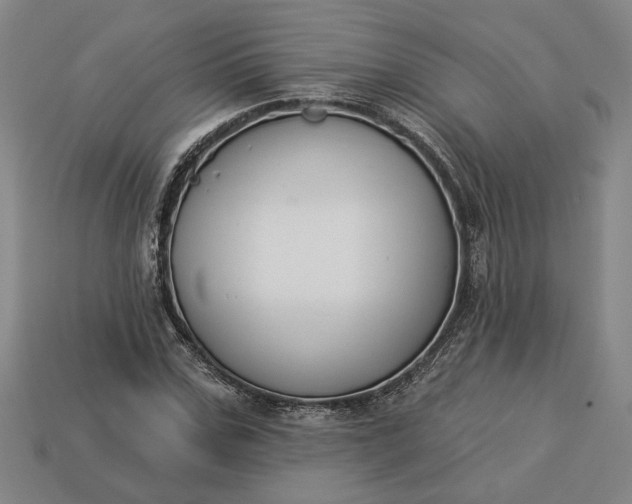 X0000113360971200909291027