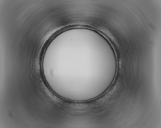 X0000113360972200909291027