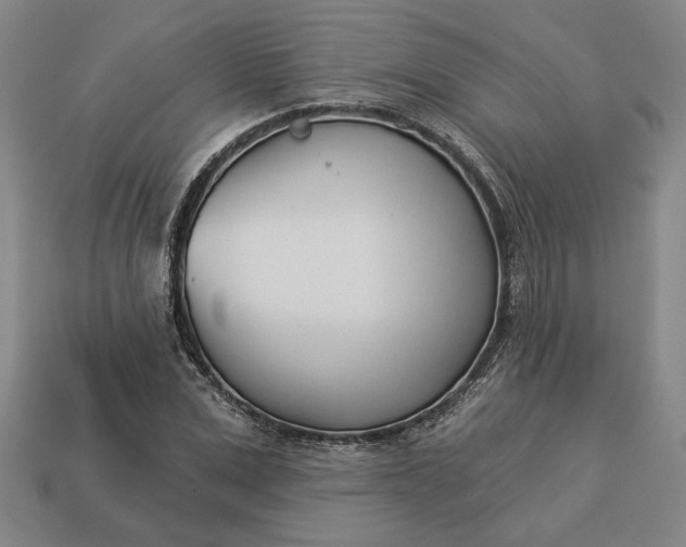 X0000113360975200909291027