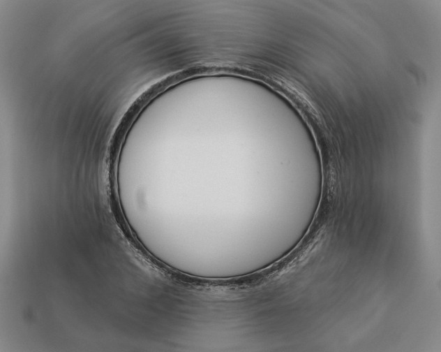 X0000113360976200909291027