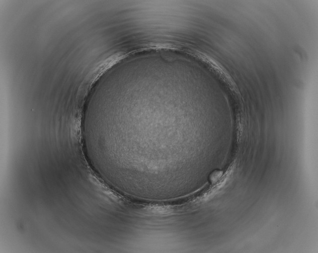 X0000113360977200909291027