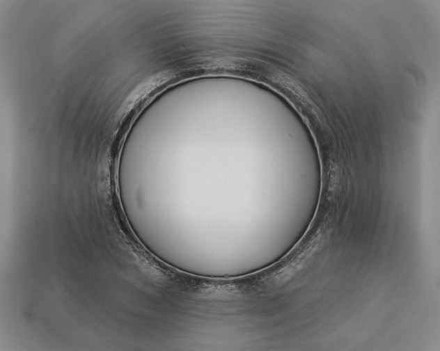 X0000113360978200909291027