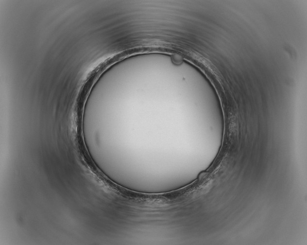 X0000113360979200909291027