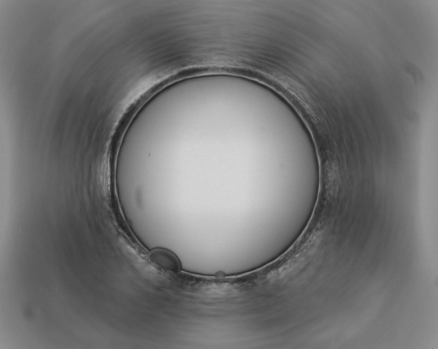 X0000113360982200909291027