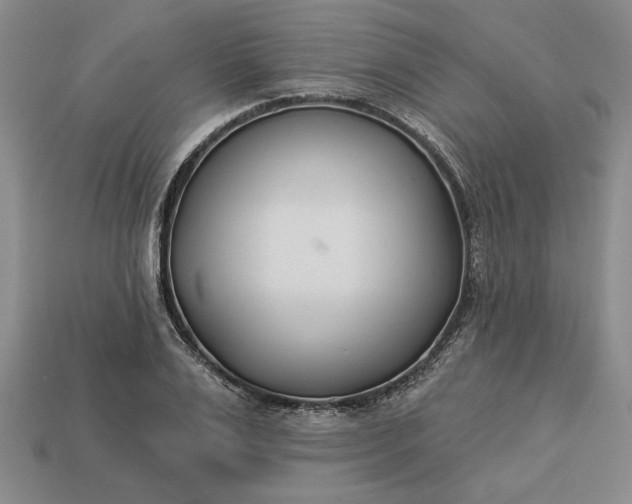 X0000113360983200909291027