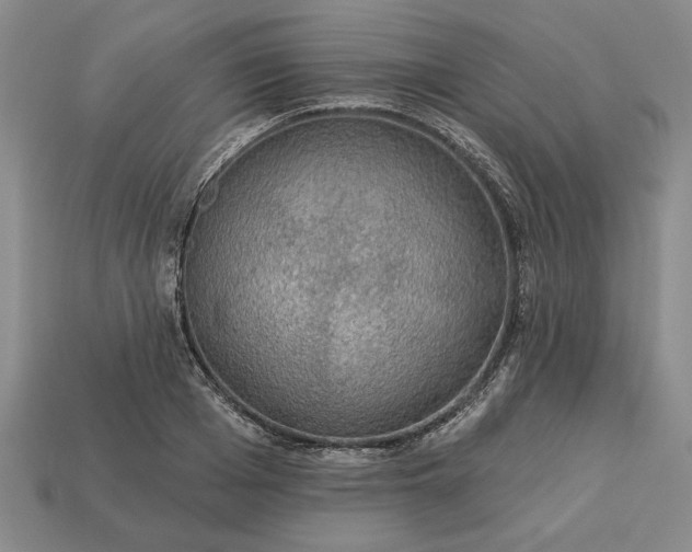 X0000113360985200909291026