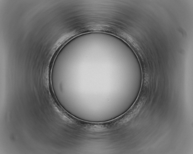 X0000113360986200909291026