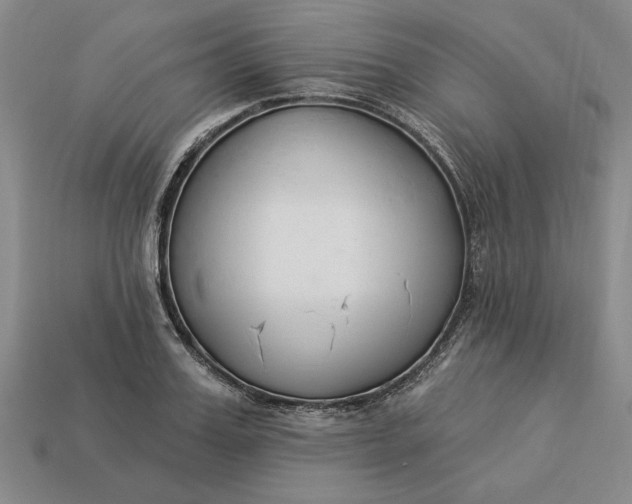 X0000113360987200909291026