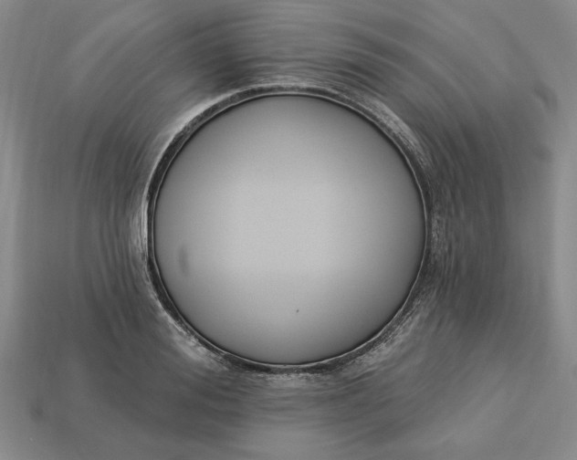 X0000113360988200909291026