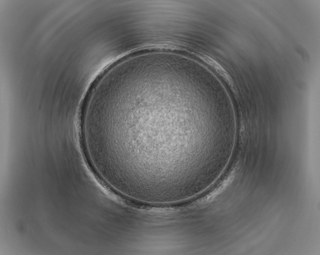 X0000113360989200909291026