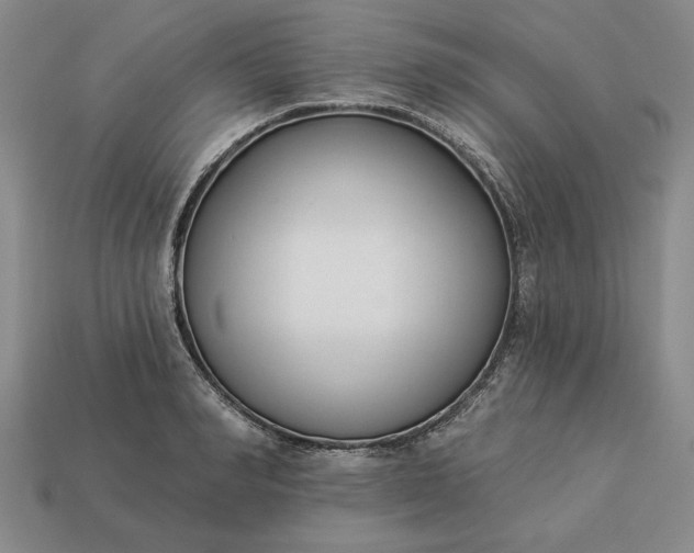 X0000113360990200909291026