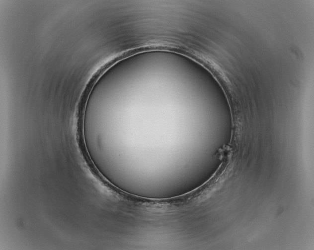 X0000113360991200909291026