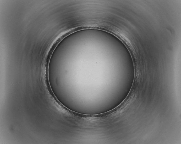 X0000113360992200909291026