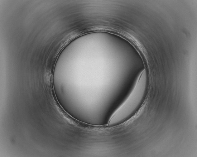 X0000113360993200909291026