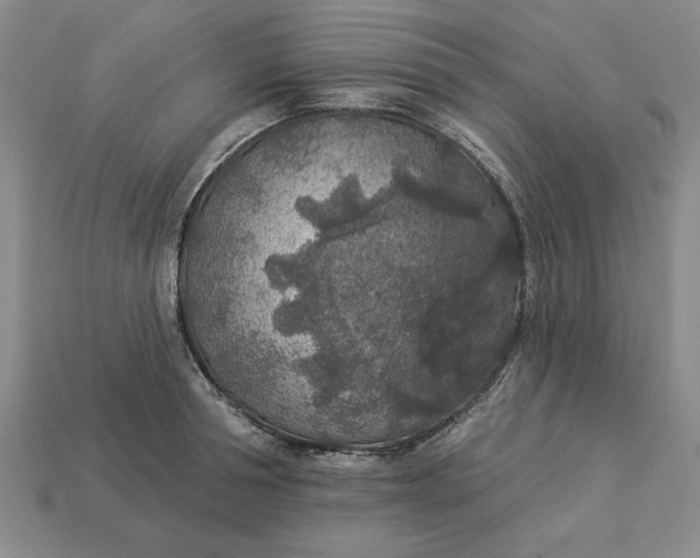 X0000113360994200909291026