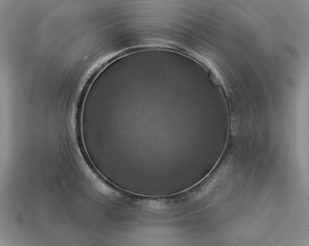 X0000113360995200909291026