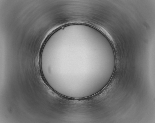 X0000113360996200909291026