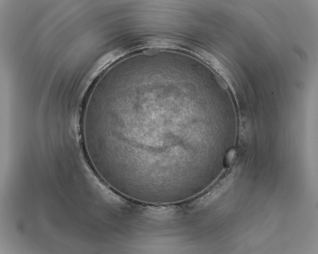 X0000113360997200909291026