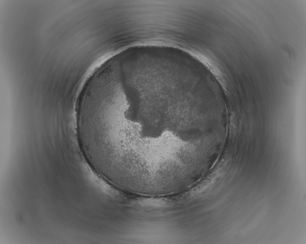 X0000113360998200909291026