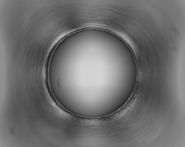 X0000113360999200909291026