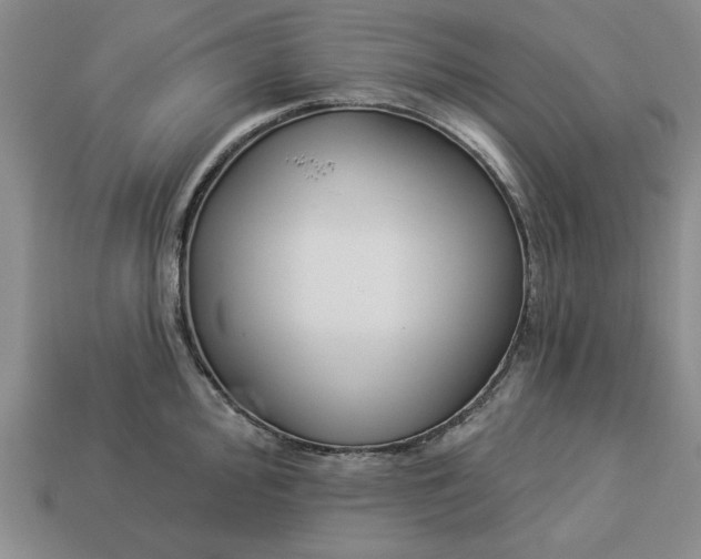 X0000113361000200909291026