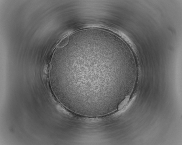 X0000113361001200909291026