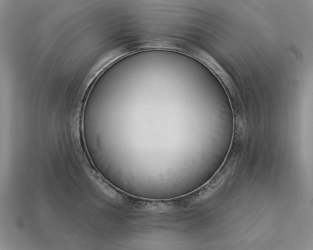 X0000113361002200909291026