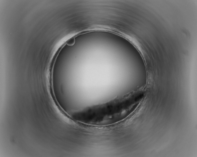 X0000113361003200909291026