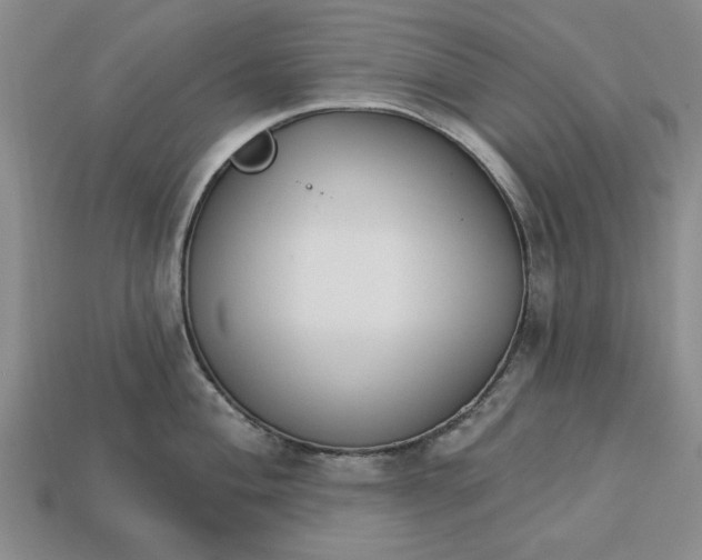 X0000113361004200909291026