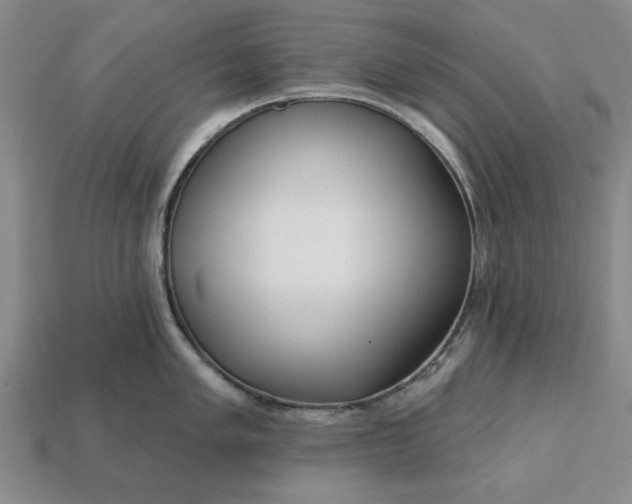 X0000113361005200909291026