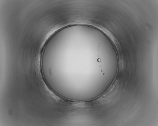 X0000113361006200909291026