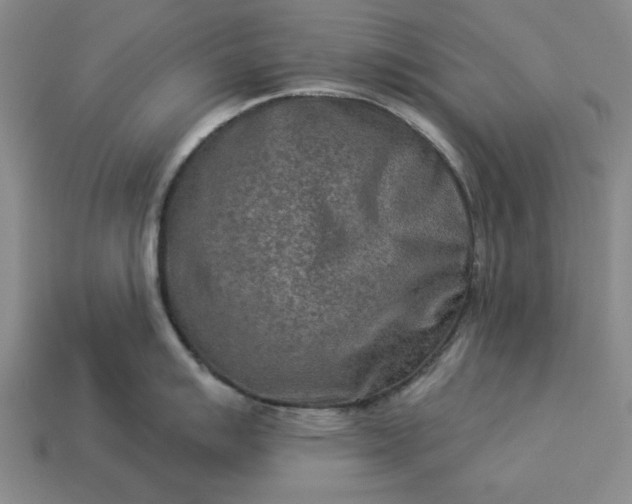 X0000113361007200909291026