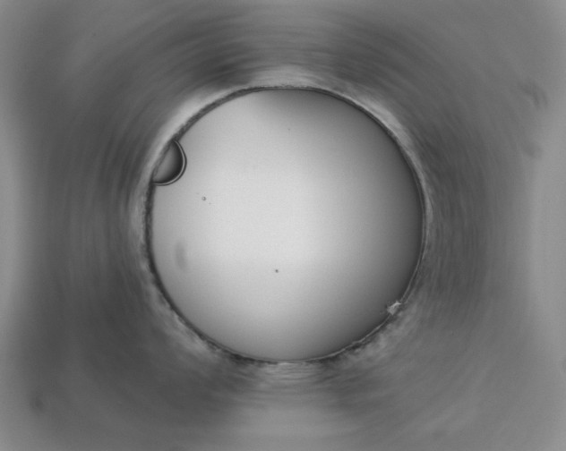 X0000113361008200909291026