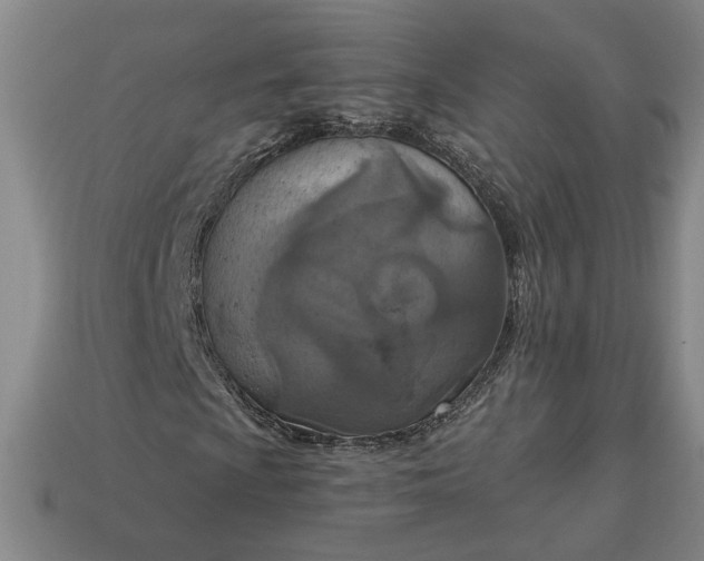 X0000113361009200909291026