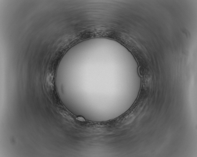 X0000113361010200909291026