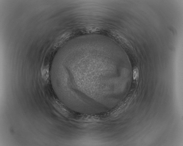 X0000113361011200909291026