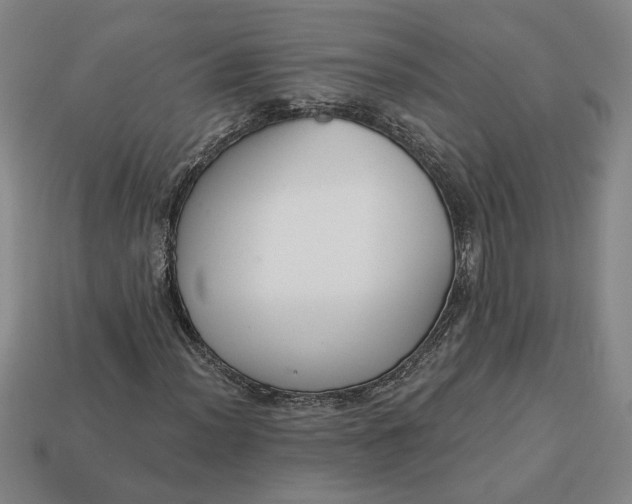 X0000113361012200909291026