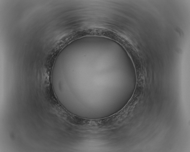 X0000113361013200909291026