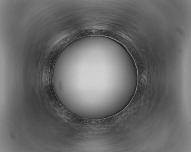 X0000113361014200909291026