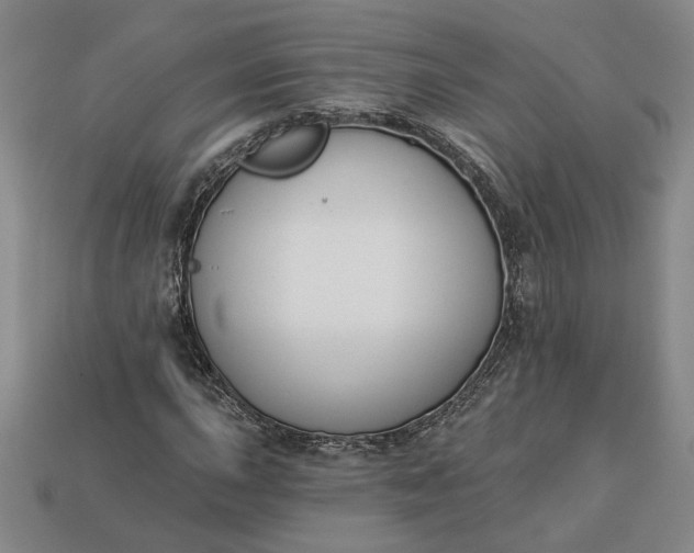 X0000113361015200909291026